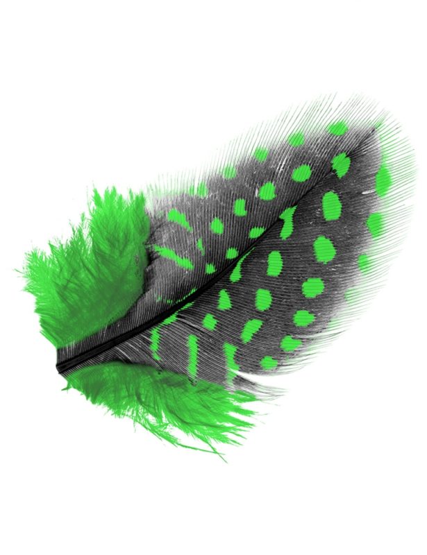 Angels Nail Products