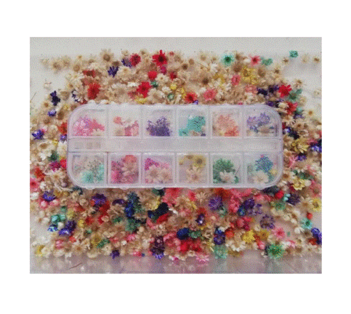 Dried Flowers Box - 60pcs