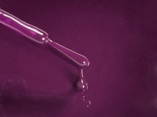 Shellac PolishGel 12ml Palma Bottle C047